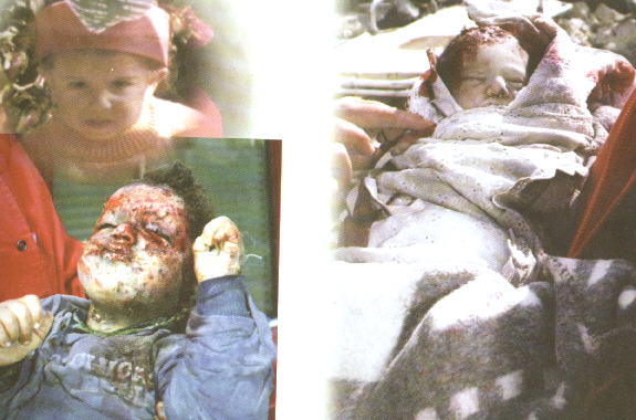 pali_pic7.jpg (42988 bytes)